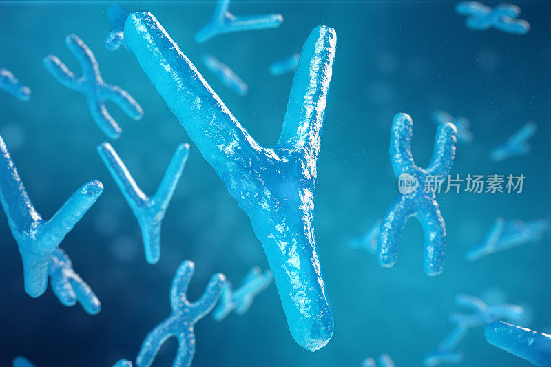 xy -染色体作为人类生物学、医学符号、基因治疗或微生物遗传学研究的一个概念